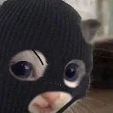 chor_cat Discord Emoji