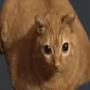 CATbounce