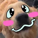DexOwO