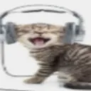 wfl_musiccry wfl_musiccry