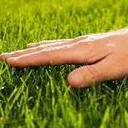 touchgrass touchgrass