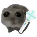 sadhamstermoa