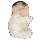 fetus