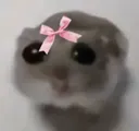 imjustagirl