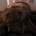 disneypwincess