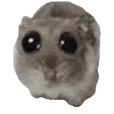 pwease