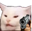 MT_cat_bitched