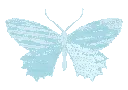 bluebutterfly