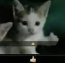 ok