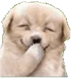 HEHE