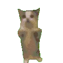 outputonlinegiftools9
