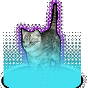 catsupremacy