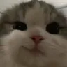 smirk