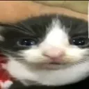just_a_lil_guy just_a_lil_guy