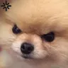 angry