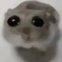 sadrat