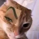 sus