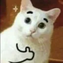 Thumbup Thumbup