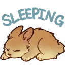 4r_bunnysleepsand
