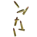 bullets