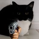 :Uni_gun: