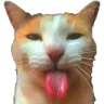 meow_bleh
