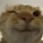 cat_twink