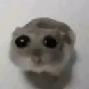 nuuu