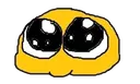 boO5