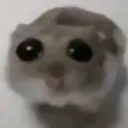 emoji_29