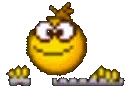 L_computer