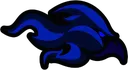 nyctus