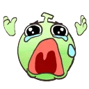kippuNoo
