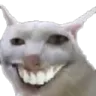 XDcat