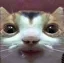 DroolCat