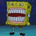 spongeteef