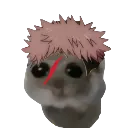 YujiHamster