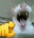 aaaaaaa
