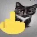 catfuckyou