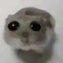 sadhampter