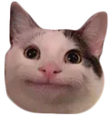 Cat_emoji Cat_emoji