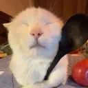 spoooon Discord Emoji