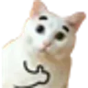 lerder
