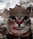 thousandyardstarecat Discord Emoji