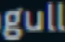 gull