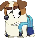Jackgrr