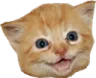 koteseni