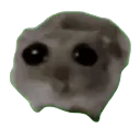 CM_sadgegato