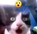 oo