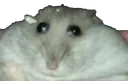 squishrat